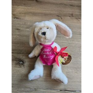 Starbucks Bearista Easter Bunny Plush Toy With Pink Apron